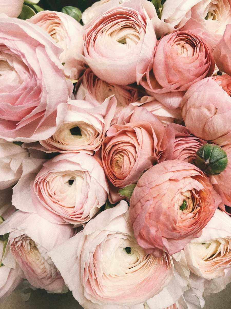 Beautiful flowers in France